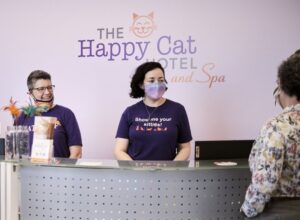 Glückliche Katze Hotel & Spa setzt Expansion fort, stellt drei neue Franchise-Standorte vor