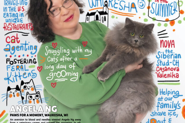 Es sind Katzen rund um die Uhr für Angela Ng