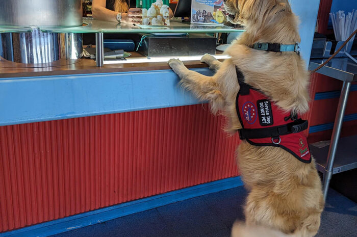 „Der Metzger Butcher’s Naturals sponsert das 15. Jubiläum der gemeinnützigen Patriot Service Dogs“