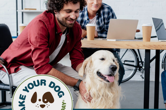 26. Jährlicher Bring-deinen-Hund-mit-zur-Arbeit-Tag findet am Freitag, den 21. Juni statt.