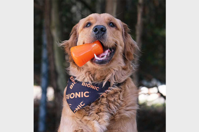 Die Hagen Group enthüllt 3 aufregende neue BIONIC Hundespielzeuge auf der SUPERZOO.